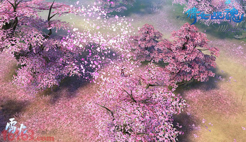 青丘美景浪漫花雨