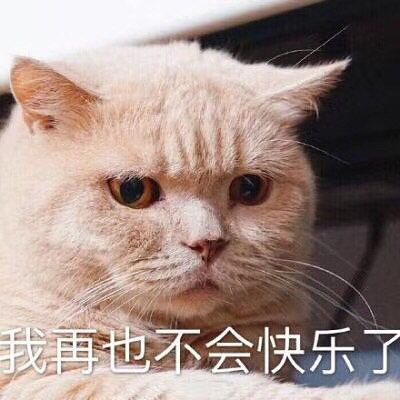 暴风哭泣,喜欢的号限额就被买走了
