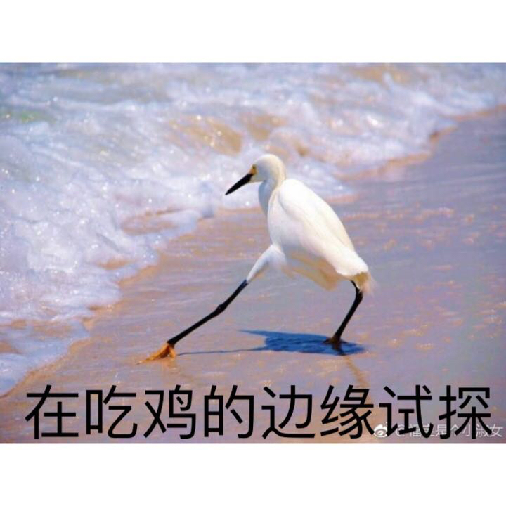 南风知我意,吹梦到西洲.